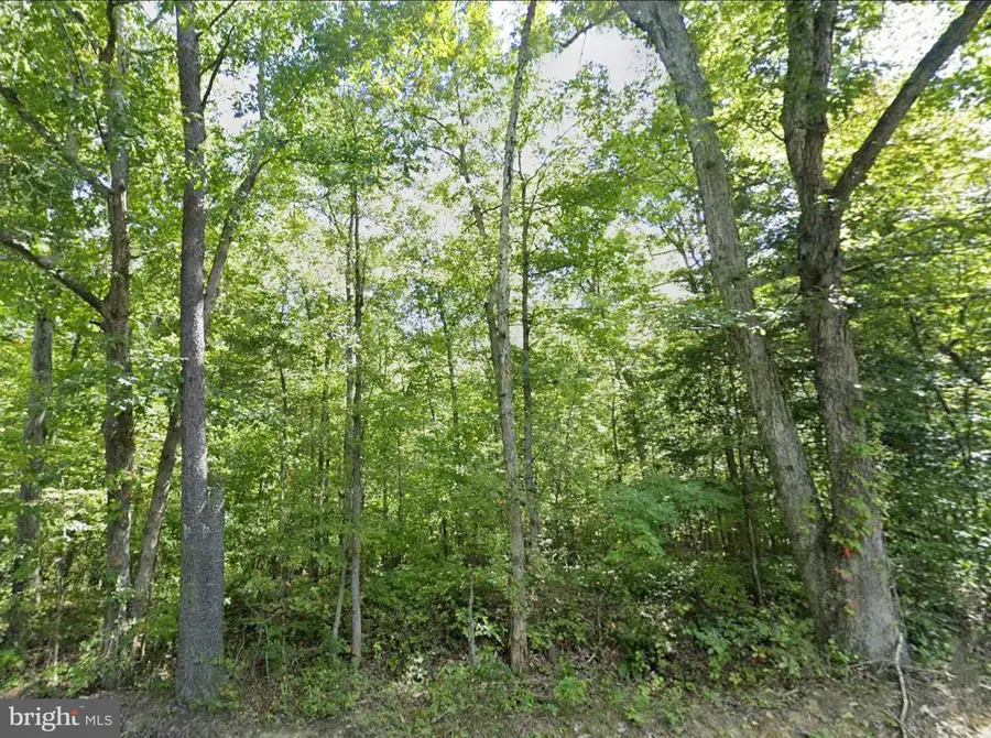 00 Fieldstone Ln, Rhoadesville, VA 22542 - Image #3