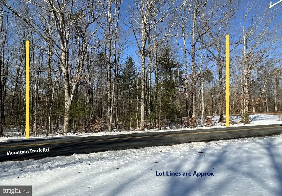 0 Mountain Track Rd, Orange, VA 22960 - #3
