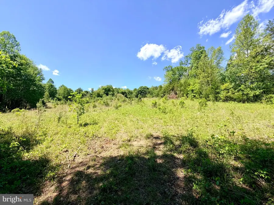 Lot 5 Autumn Ridge Ln, Unionville, VA 22567 - #3