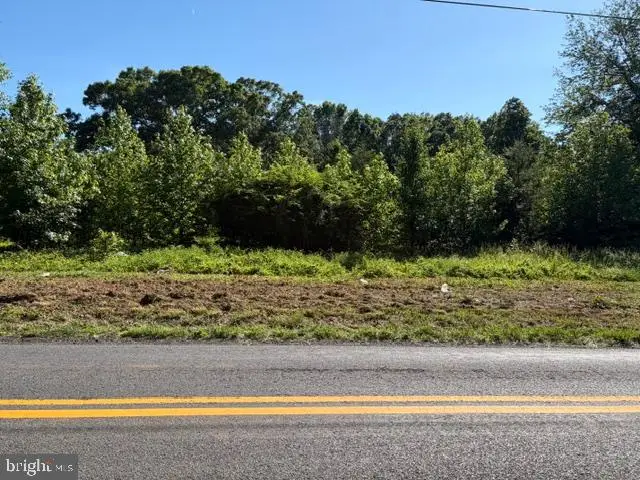 0 Gold Dale Rd, Locust Grove, VA 22508 - #1
