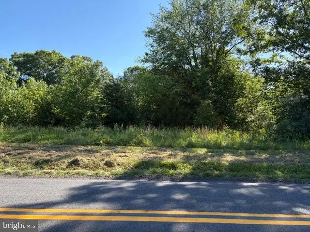 0 Gold Dale Rd, Locust Grove, VA 22508 - #3