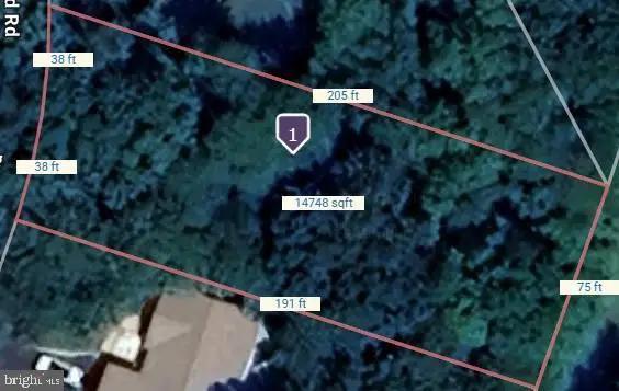 203 Battlefield Rd, Locust Grove, VA 22508 - #1