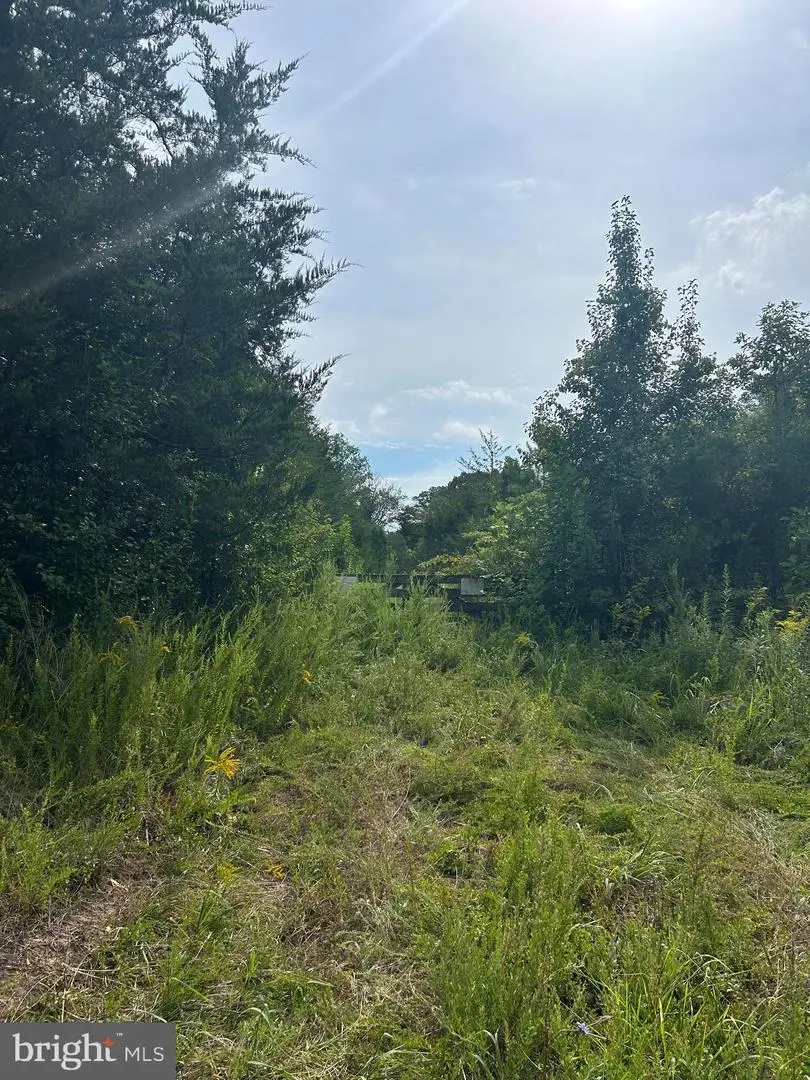 24273 Creekwood Rd, Unionville, VA 22567 - #2