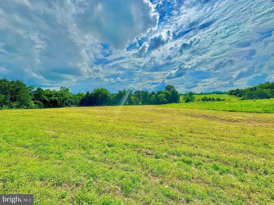 Lot 9 Zachary Taylor Hwy, Unionville, VA 22567 - #2