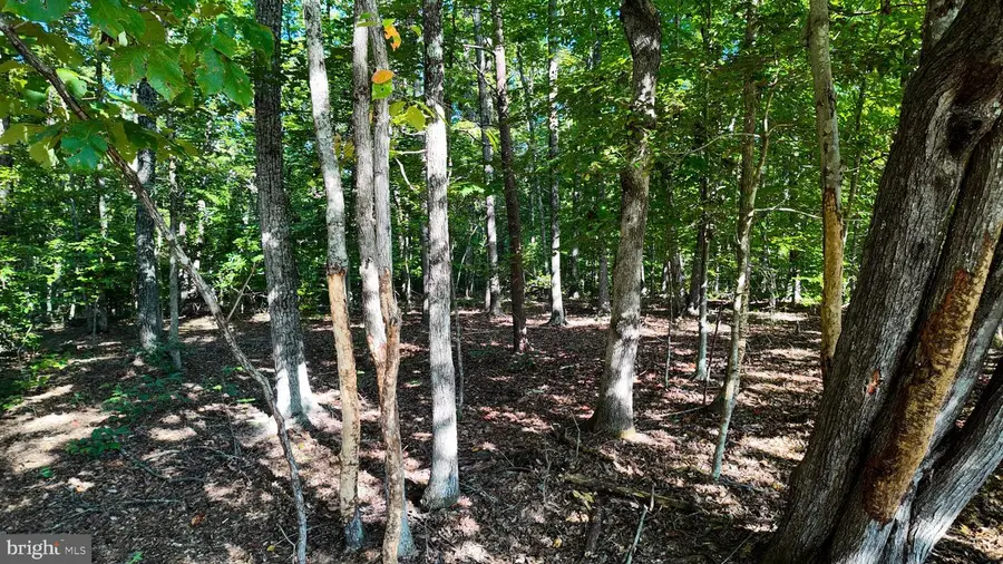 Woodville Rd, Locust Grove, VA 22508 - #2