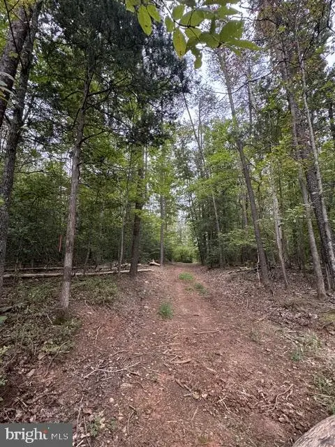 Old Office Rd, LOCUST GROVE, VA 22508