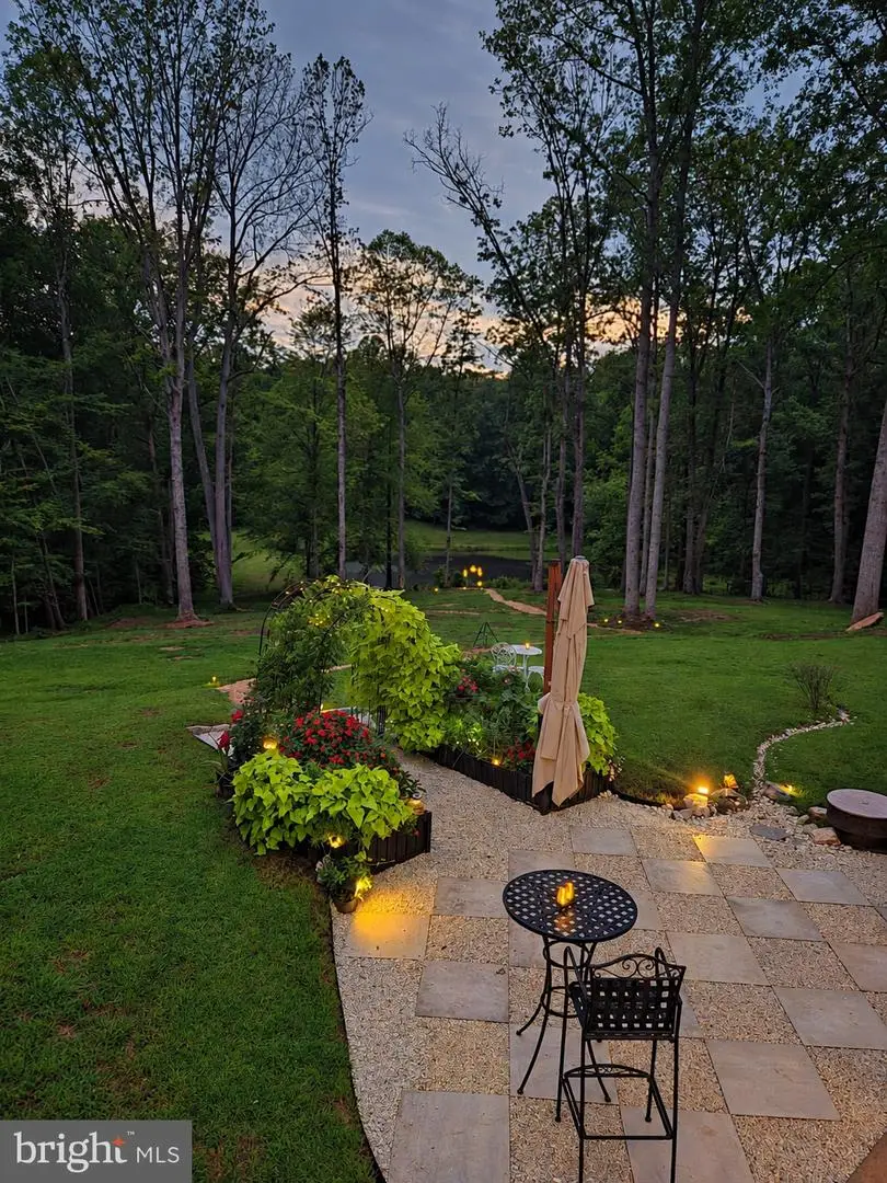 14182 Tower Rd, Unionville, VA 22567 - #2