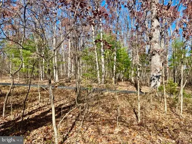 Egypt Bend Road, Luray, VA 22835 - Image #3