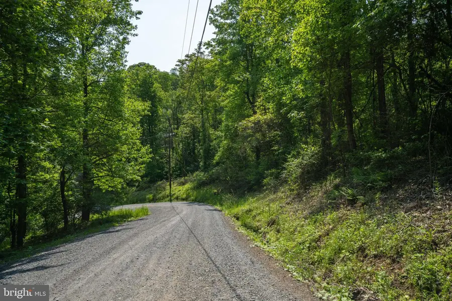 Lot D45-49, Stanley, VA 22851 - Image #3