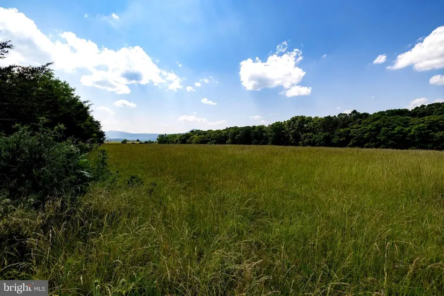 Off Sunnyview Dr, Rileyville, VA 22650 - Image #3