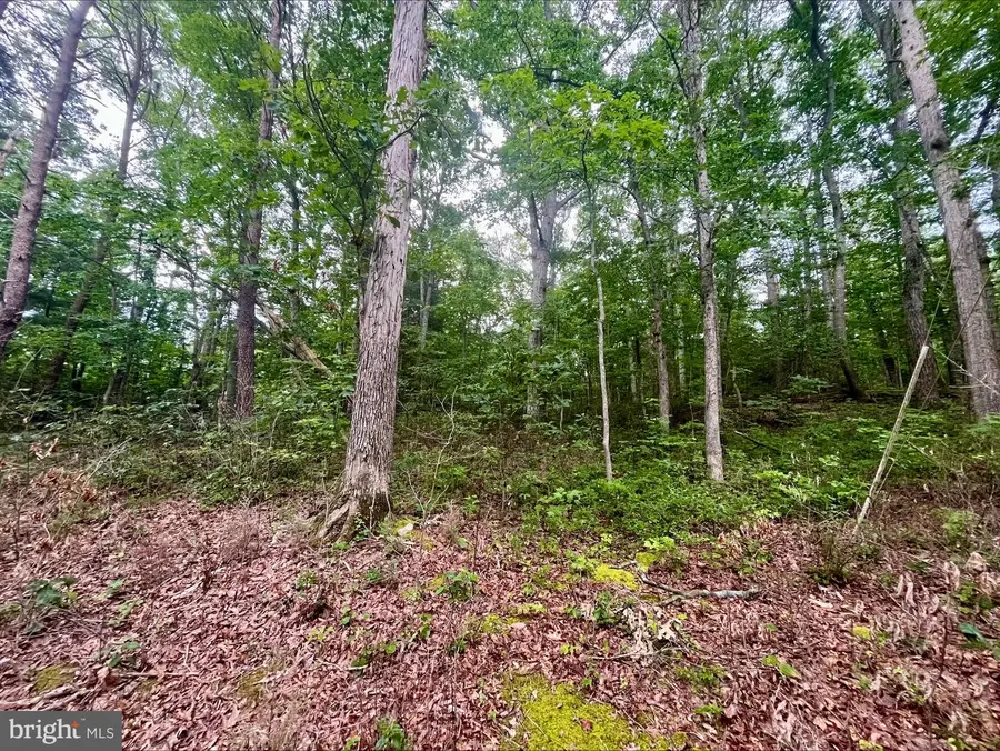 Oak Lane, Luray, VA 22835 - Image #3