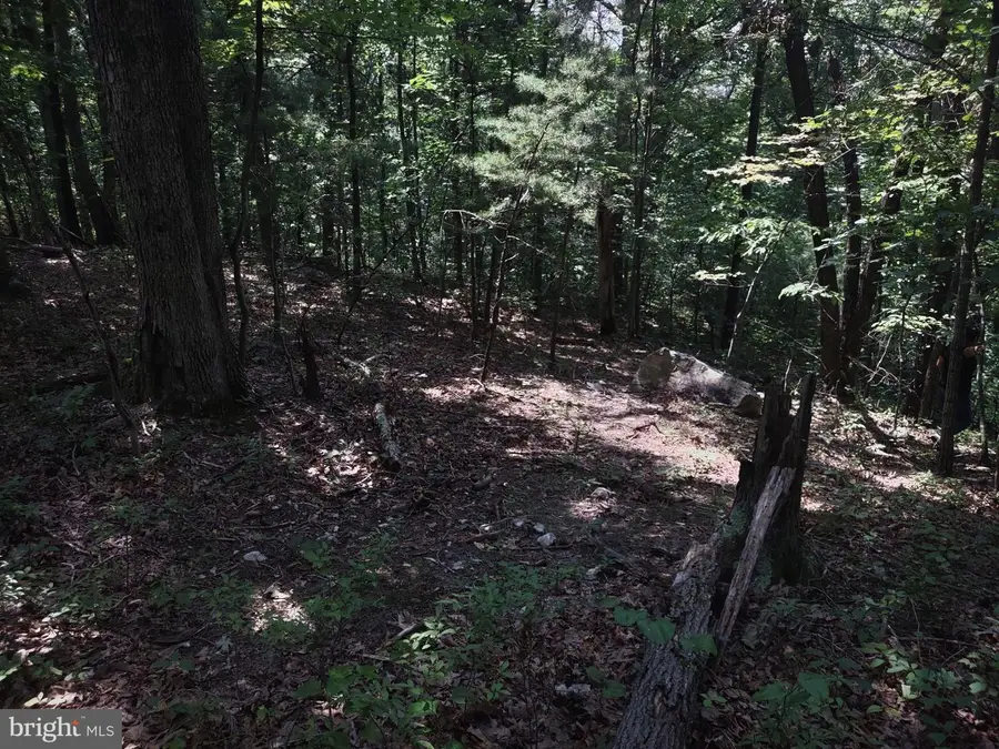 Blevins Road E, Luray, VA 22835 - Image #2