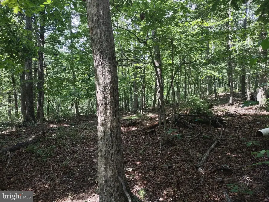 Blevins Road E, Luray, VA 22835 - Image #3