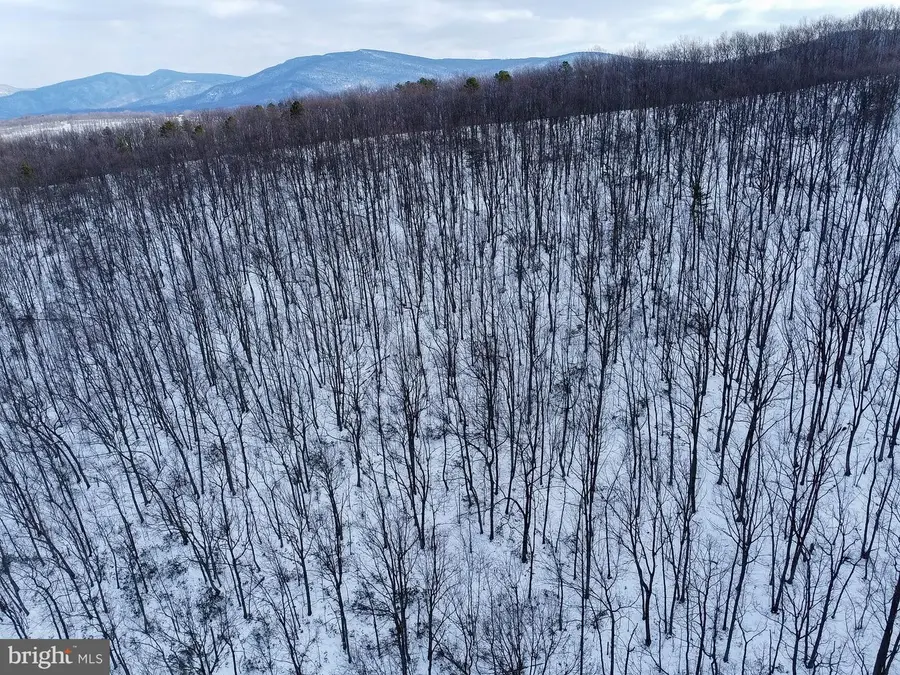 Cubbage Hollow Rd, Lot 75 - 40.55 Acres, Stanley, VA 22851 - Image #2