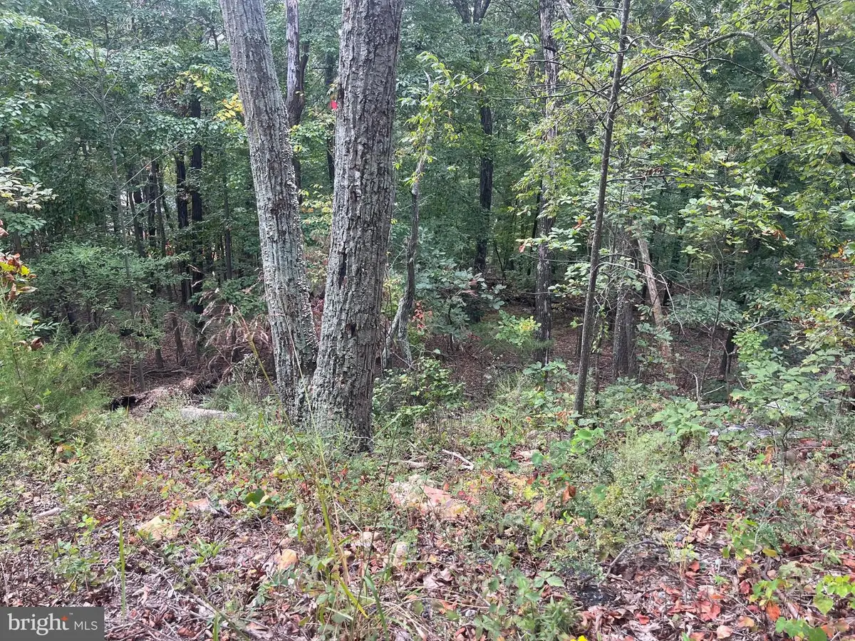 Lot 41 Panorama View, Stanley, VA 22851 - Image #1