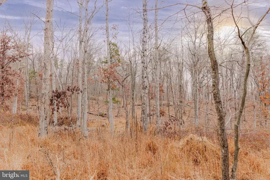 Lot 2 Galloway Spring Ln, Stanley, VA 22851 - Image #2