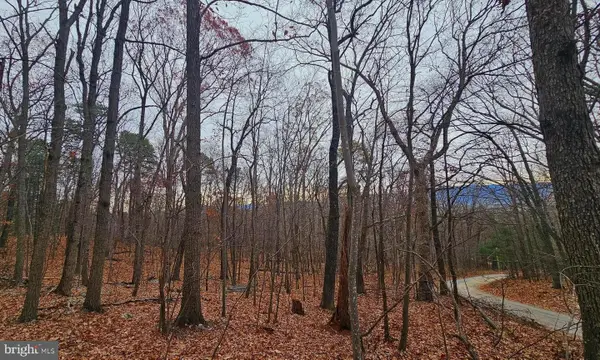 Tbd Forest Drive Ext, LURAY, VA 22835