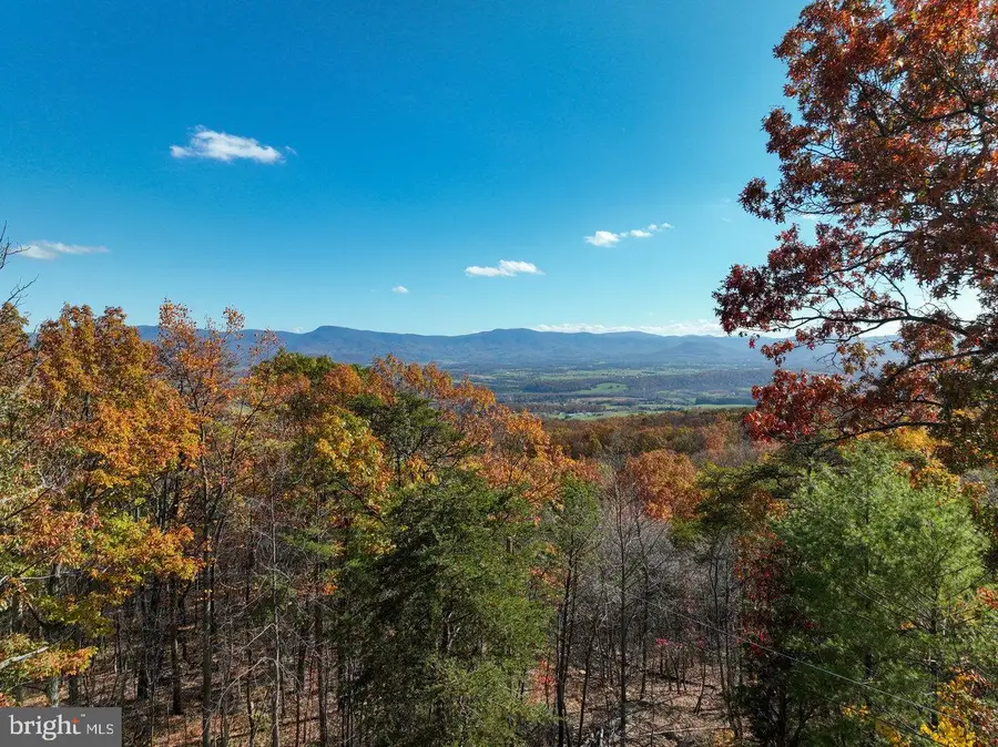 187 Holly Hill Rd, Luray, VA 22835 - Image #3