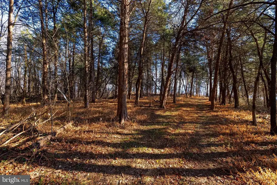 8 Promise Ln, Stanley, VA 22851 - Image #3