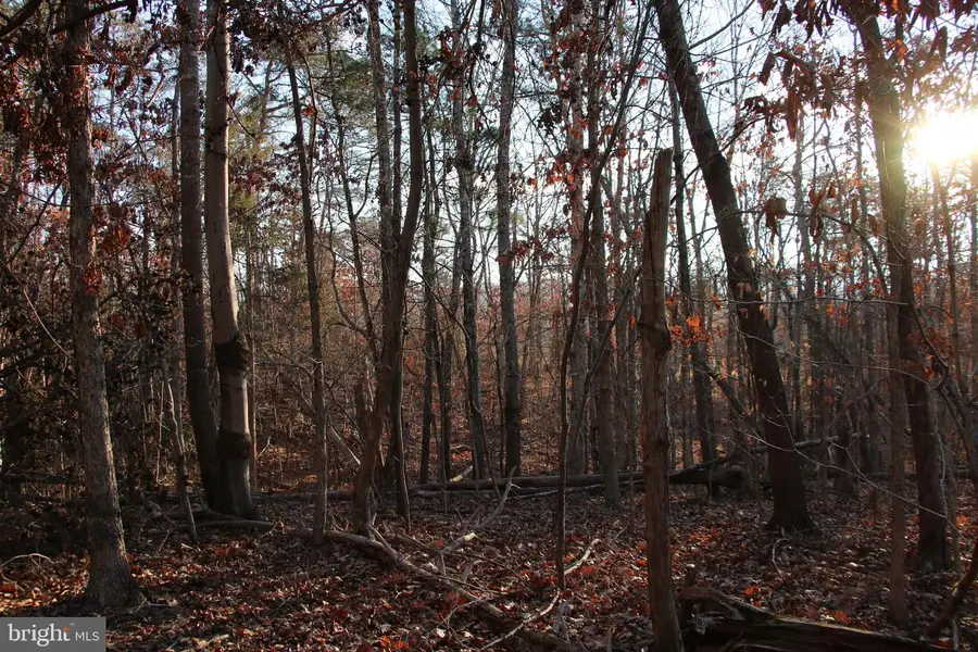 Lookout Dr, Shenandoah, VA 22849 - Image #2