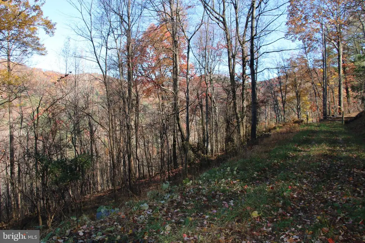 0 Overlook Mountain Rd, Elkton, VA 22827 - #1