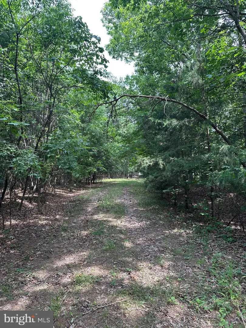 0 Forest Dr, Stanley, VA 22851 - #2