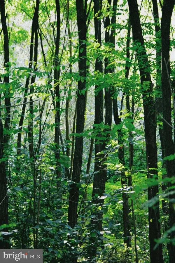 0 National Forest Access Rd, LURAY, VA 22835