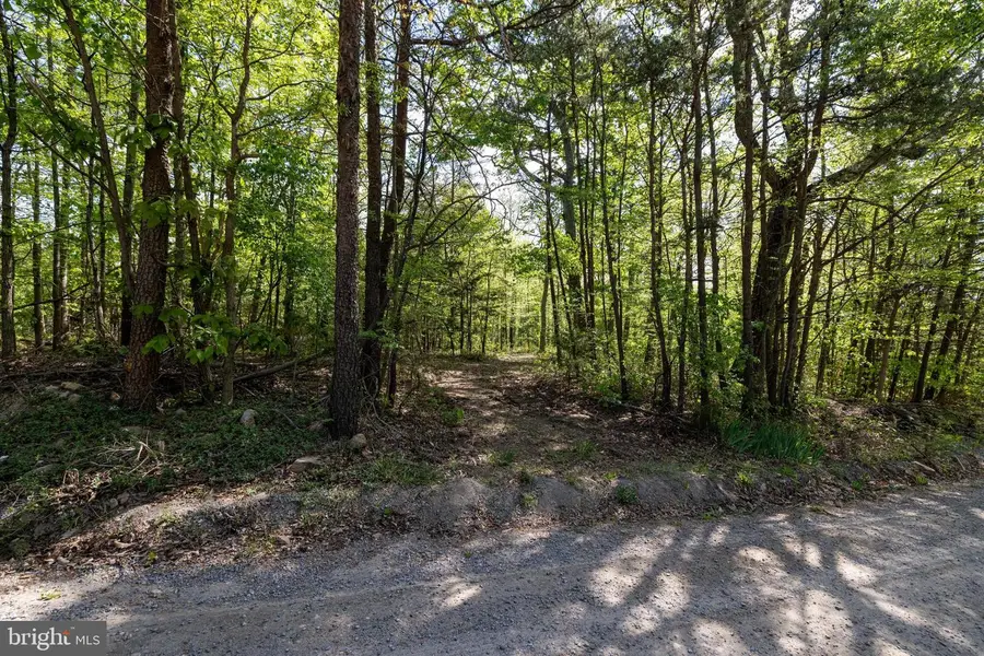 H49 Cross Creek Rd, Luray, VA 22835 - #3