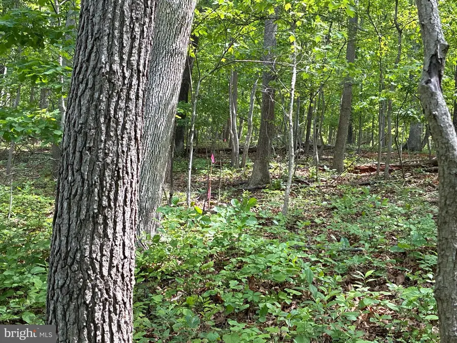 Lot 2 Beylors Ferry, Rileyville, VA 22650 - #3