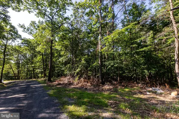 Panorama View Dr., STANLEY, VA 22851