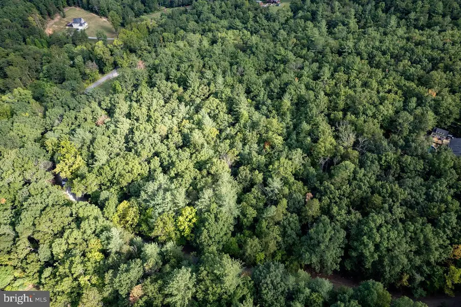 Lot D3, Holiday Hill Road Holiday Hill Rd., Luray, VA 22835 - #3