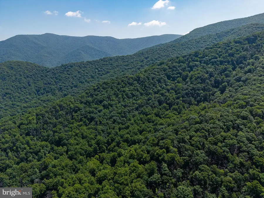 Lots 27, 28 & 29 Helms Road, Stanley, VA 22851 - #2