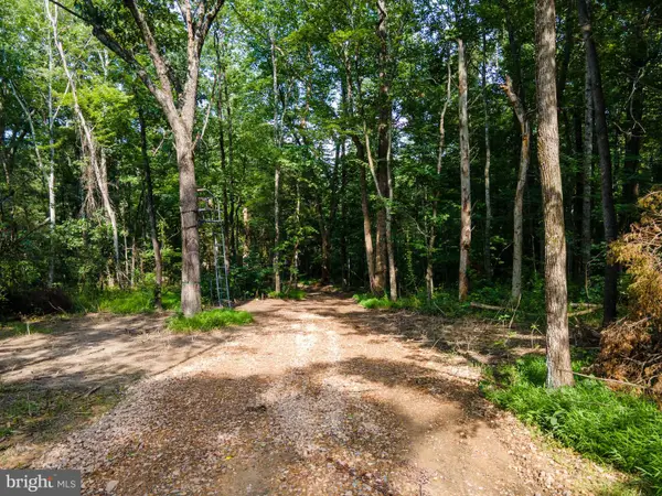 Us Hwy 340 S, STANLEY, VA 22851