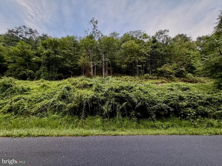 Lot 11b Lucas Hollow Rd, Stanley, VA 22851 - #3