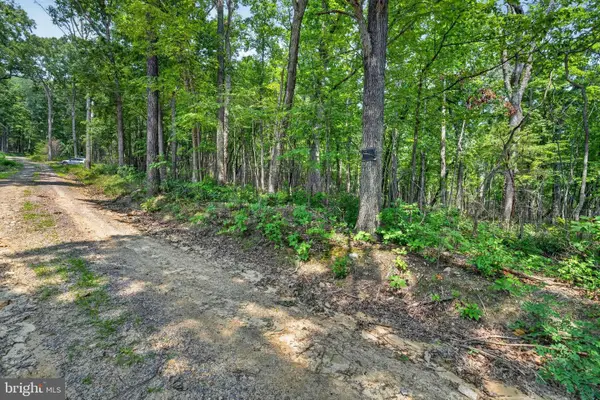 Indian Trail Rd, LURAY, VA 22835