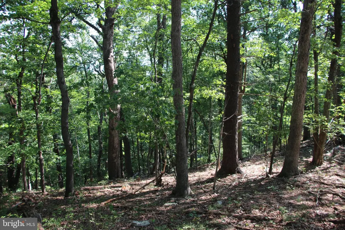 0 Lookout Dr, Shenandoah, VA 22849 - #1