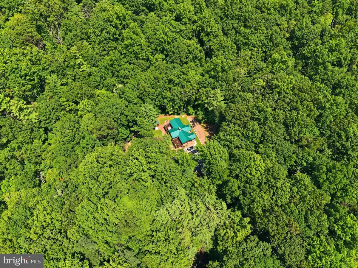 2250 Jewell Hollow Rd, Luray, VA 22835 - #1