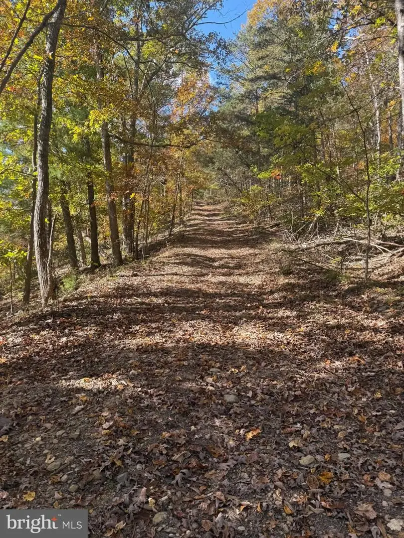 Lot 4 Grindstone Mountain View Road, Elkton, VA 22827 - #2