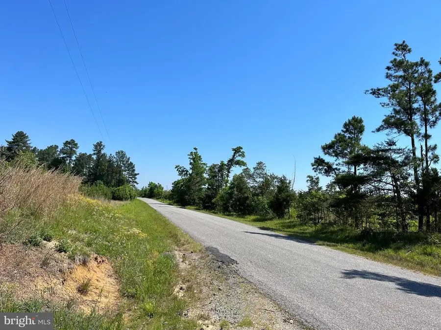 Mountain Creek Road (rt. 628) (tract: Bk3208-2), Meherrin, VA 23954 - Image #2