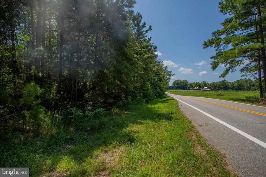 Tbd Riceville Road #lot 1, Java, VA 24565 - Image #2
