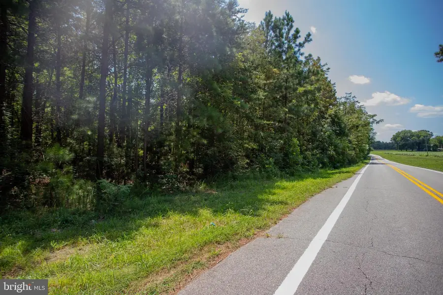 Tbd Riceville Road #lot 1, Java, VA 24565 - Image #3