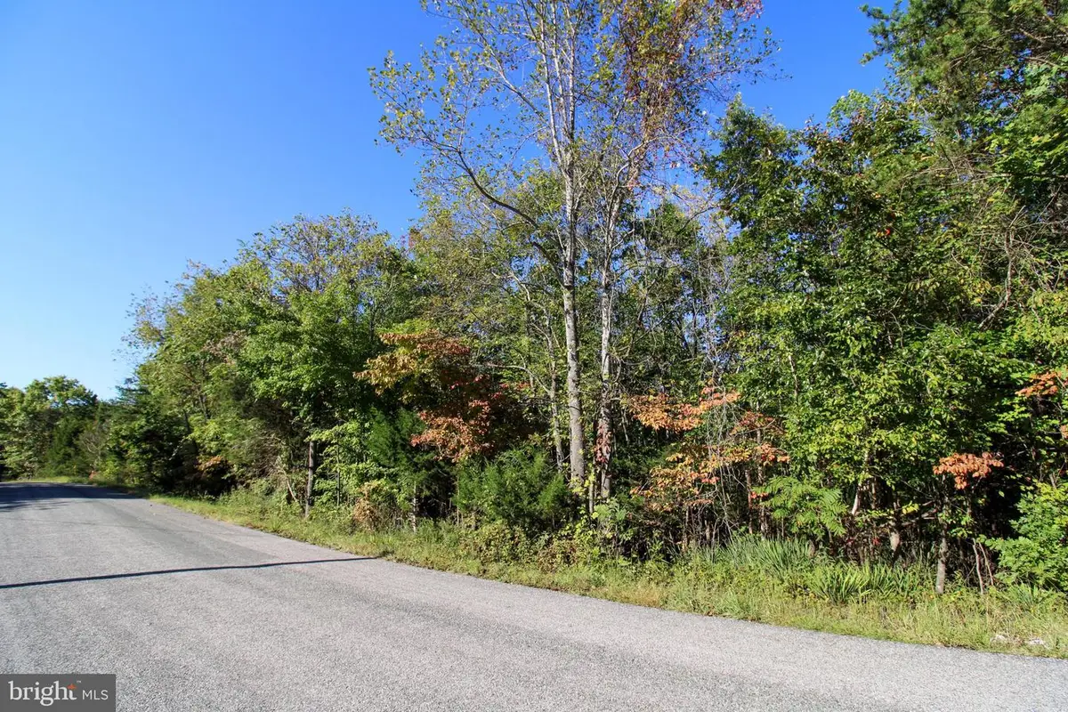 Tbd Roark Mill Road #lot 3, Hurt, VA 24563 - Image #1