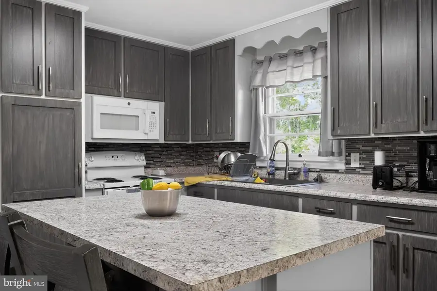 905 Luna Lake Rd, Danville, VA 24541 - #2