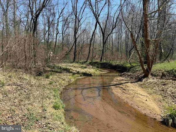 Dabney House Road (tract: Pittsylvania Compton-3), JAVA, VA 24565