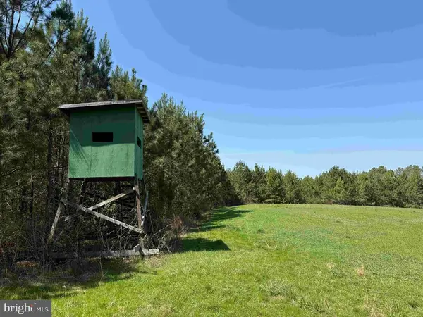 Dabney House Rd.-(tract: Pittsylvania Compton-2), JAVA, VA 24565