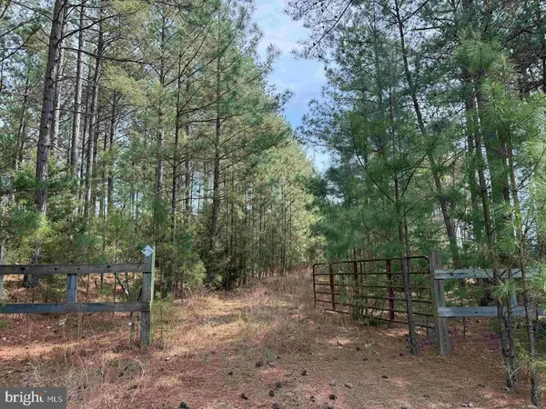 Bearskin Road (tract: Reynolds A-1), CHATHAM, VA 24531