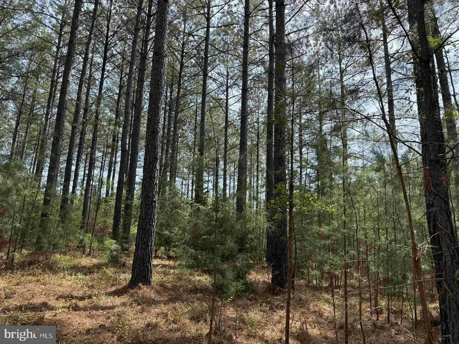 Bearskin Road (tract: Reynolds A-1), Chatham, VA 24531 - #2