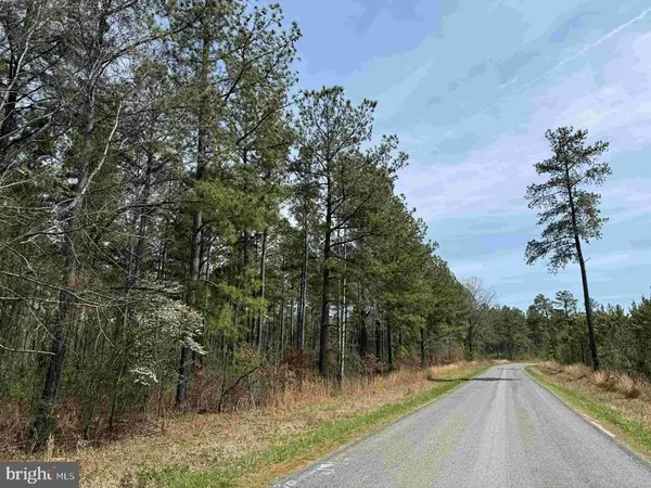 S. Flint Hill Road (rt. 829)(tract: Reynolds A-2), CHATHAM, VA 24531
