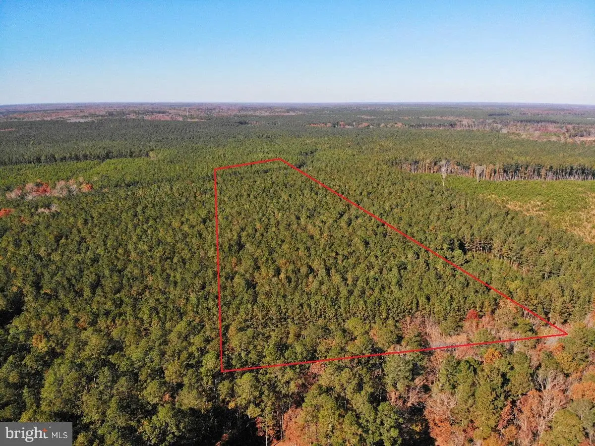 0 Pole Run Rd, Disputanta, VA 23842 - Image #1