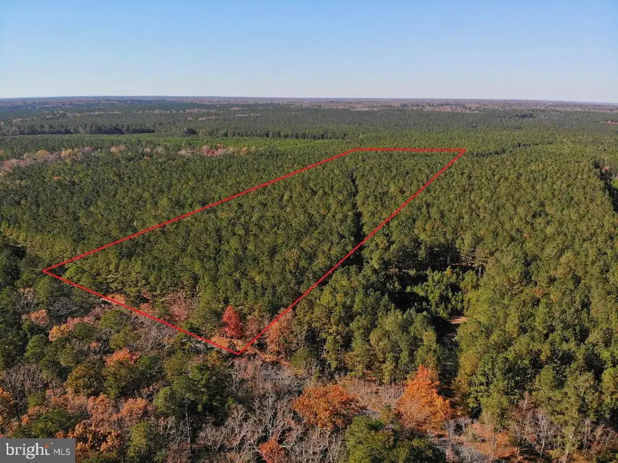 0 Pole Run Rd, Disputanta, VA 23842 - Image #2